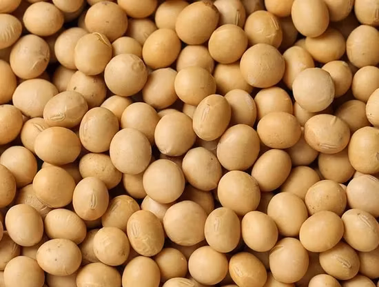 Sulfato de Magnésio de Grau Alimentício Hepta-hidratado Sal Epsom Laiyu China