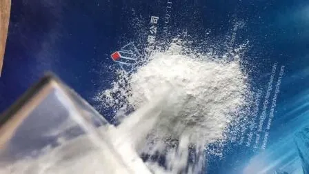 Reach/ISO 9001/ISO 14001 Fábrica 99% Pureza em Pó e Sulfato de Magnésio Granulado/Sulfato de Magnésio Anidro